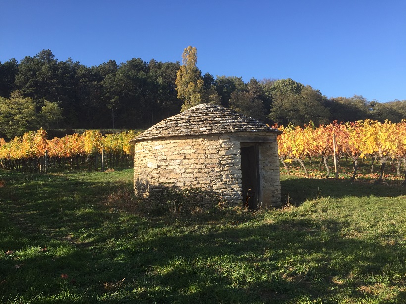 CÔTE DE NUITS - ( fULL DAY )